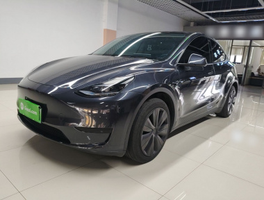 Tesla Model Y 2024 car image 