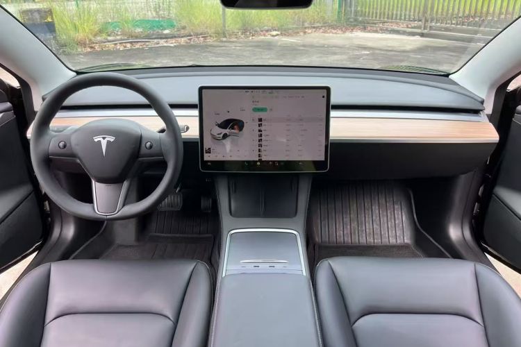 Tesla Model 3 2023 #10 Tesla Model 3 2023 immagine di auto #10