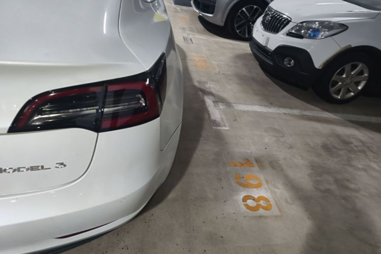 Tesla Model 3 2020 #8 Tesla Model 3 2020 car image #8