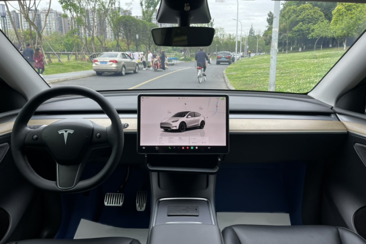 Tesla Model Y 2022 car image #15