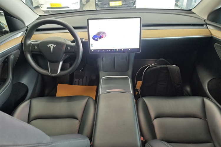 Tesla Model Y 2021 car image #10