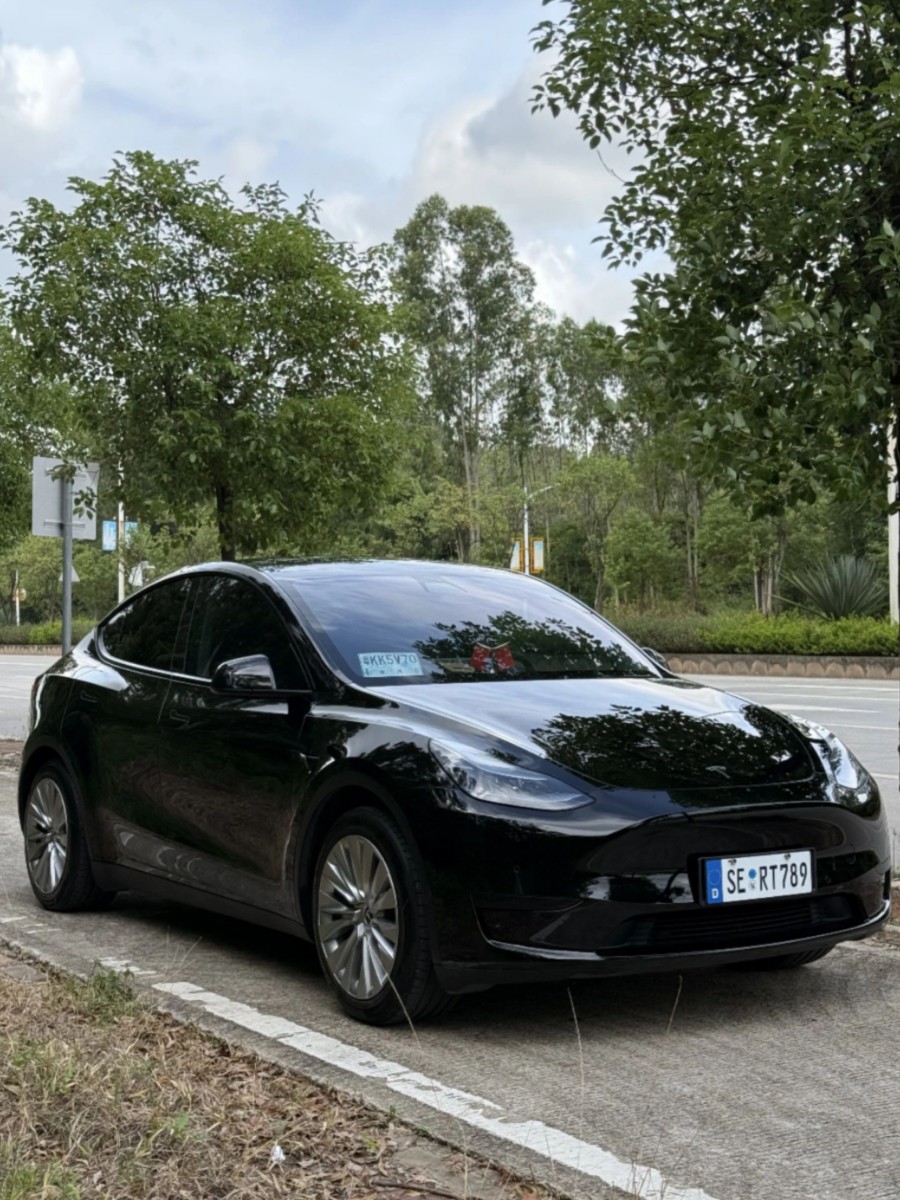 Tesla Model Y 2022 car image #2