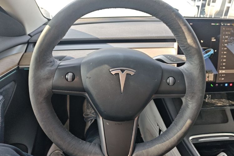 Tesla Model 3 2021 #11 Tesla Model 3 2021 car image #11