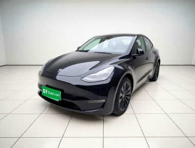 Tesla Model Y 2021 car image 