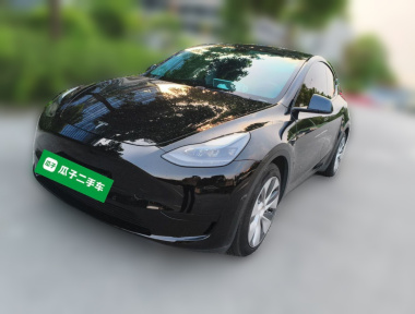 Tesla Model Y 2022 Tesla Model Y 2022 car image