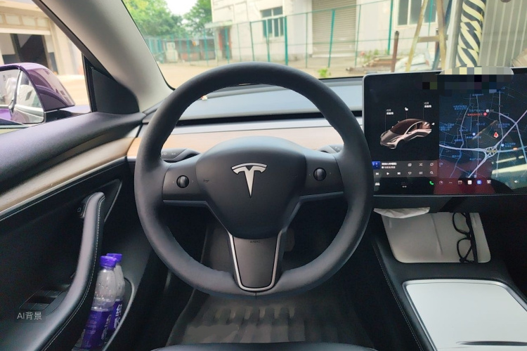 Tesla Model 3 2021 car image #12