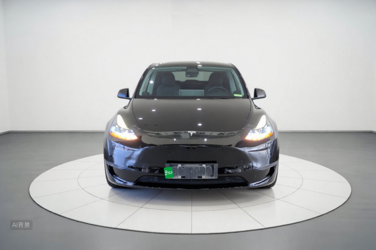 Tesla Model Y 2021 #3 Tesla Model Y 2021 car image #3