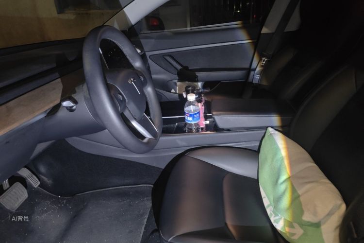 Tesla Model 3 2020 #17 Tesla Model 3 2020 car image #17