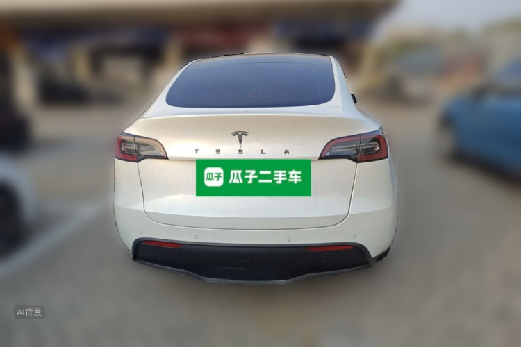 Tesla Model Y 2021 car image #6