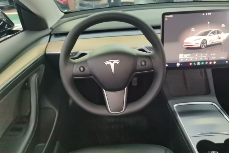 Tesla Model 3 2023 car image #15