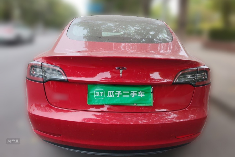 Tesla Model 3 2020 car image #6