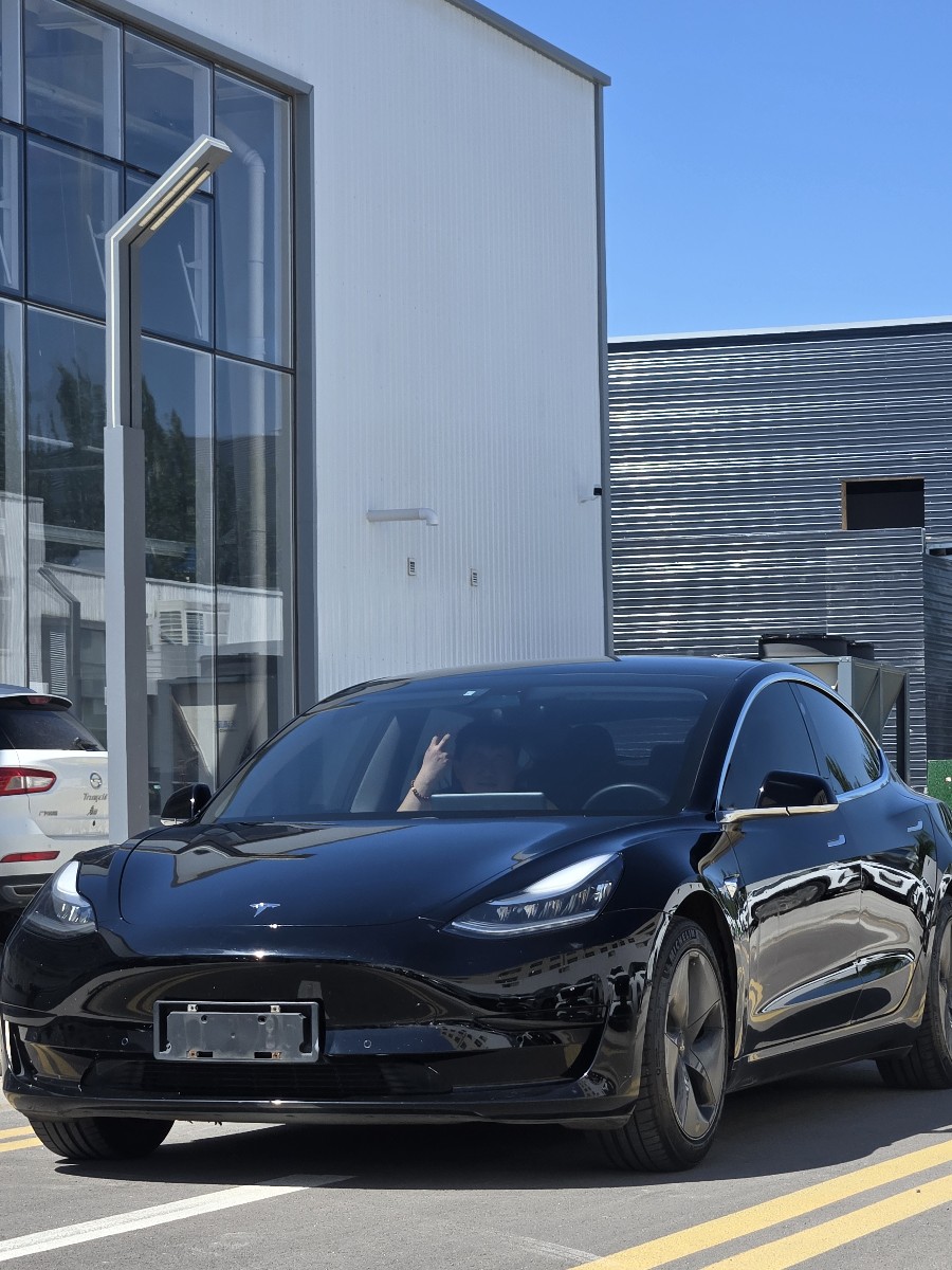 Tesla Model 3 2020 #3 Tesla Model 3 2020 car image #3
