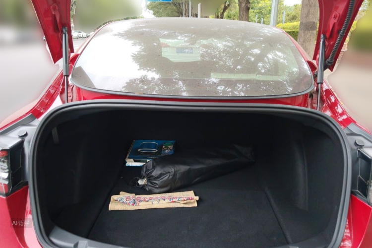 Tesla Model 3 2020 car image #21