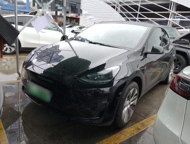 Tesla Model Y 2023 Tesla Model Y 2023 car image