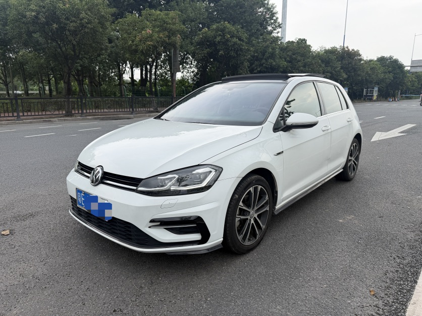 Volkswagen Golf 2019 car image 