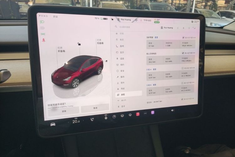 Tesla Model Y 2023 car image #16
