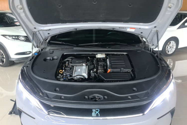 BYD Han 2024 car image #20