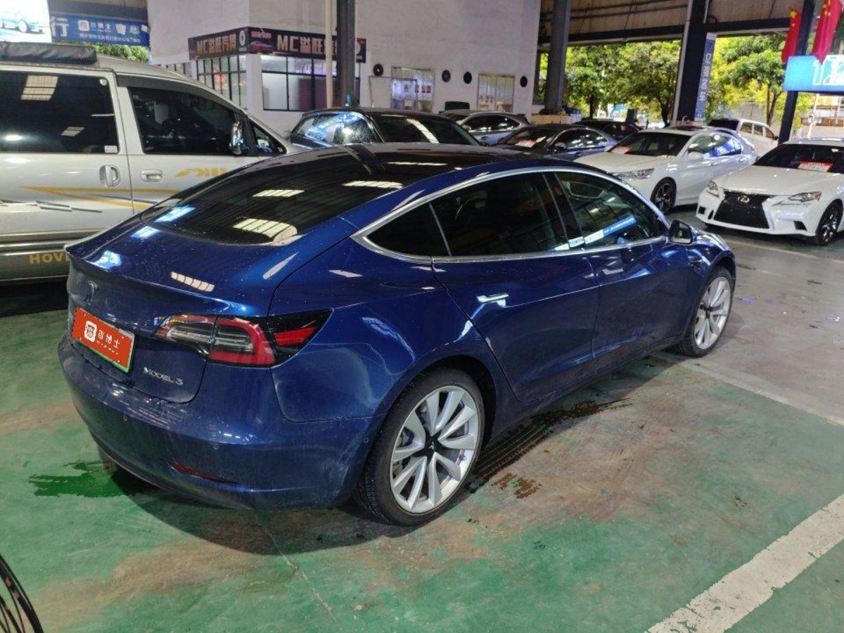Tesla Model 3 2020 #3 Tesla Model 3 2020 car image #3