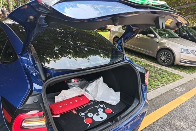 Tesla Model 3 2021 #19 Tesla Model 3 2021 car image #19