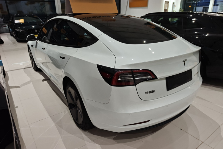 Tesla Model 3 2021 immagine di auto #7