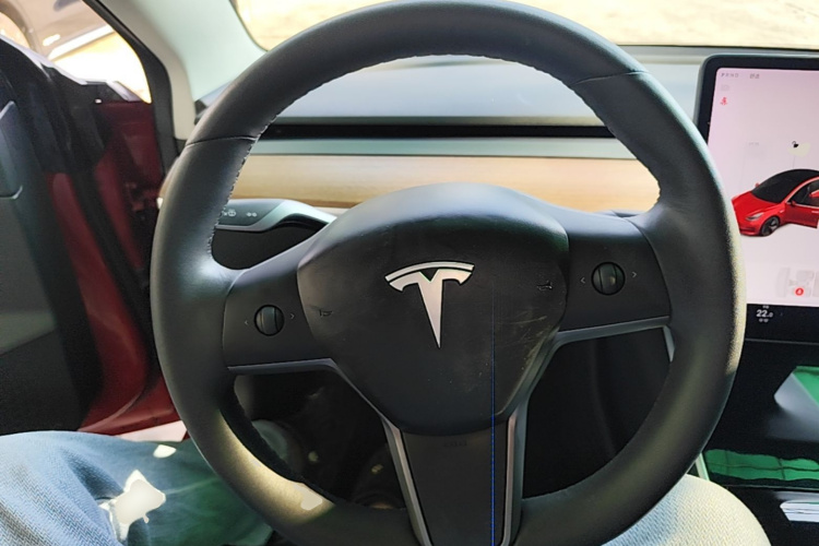 Tesla Model 3 2020 #15 Tesla Model 3 2020 car image #15