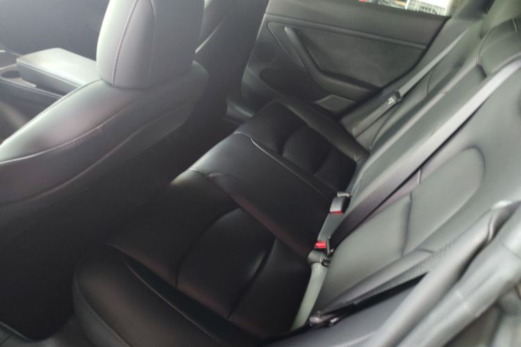 Tesla Model 3 2022 car image #17