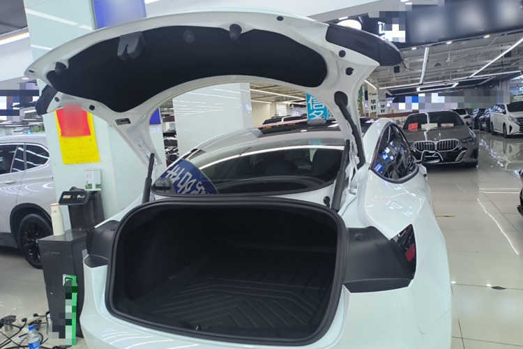 Tesla Model 3 2024 immagine di auto #19