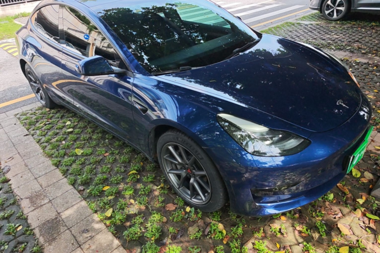 Tesla Model 3 2021 #4 Tesla Model 3 2021 car image #4