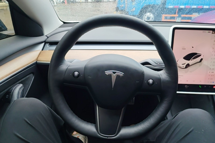 Tesla Model 3 2022 car image #11