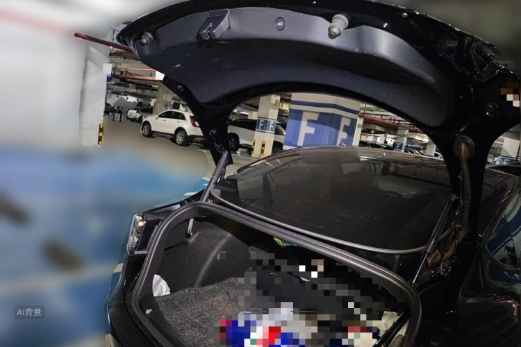 Tesla Model 3 2021 #21 Tesla Model 3 2021 car image #21
