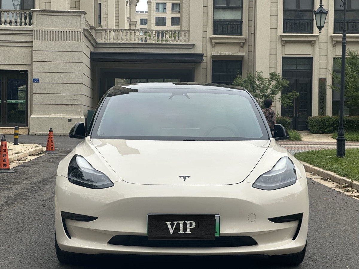 Tesla Model 3 2021 #2 Tesla Model 3 2021 car image #2