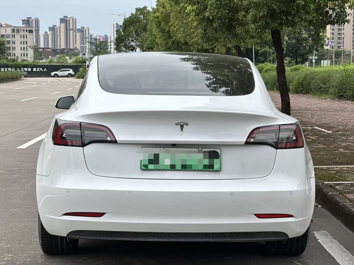 Tesla Model 3 2021 #9 Tesla Model 3 2021 car image #9
