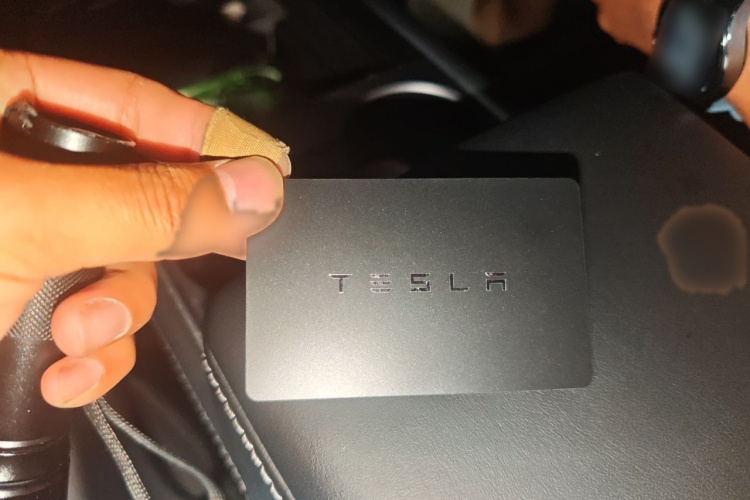 Tesla Model Y 2023 #11 Tesla Model Y 2023 car image #11