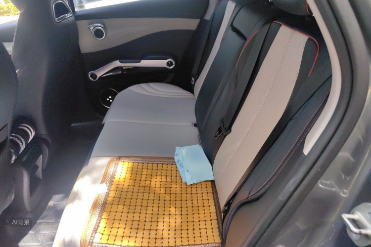 BYD Yuan Plus 2022 car image #19