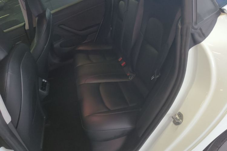 Tesla Model 3 2020 #17 Tesla Model 3 2020 car image #17