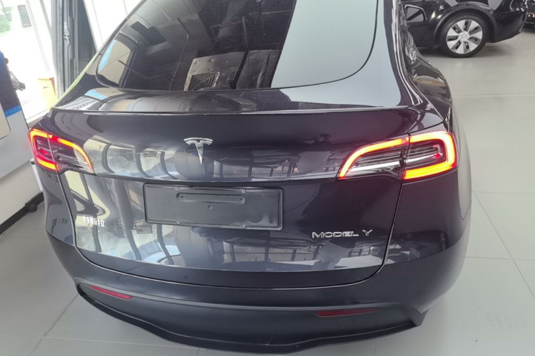 Tesla Model Y 2024 #6 Tesla Model Y 2024 car image #6
