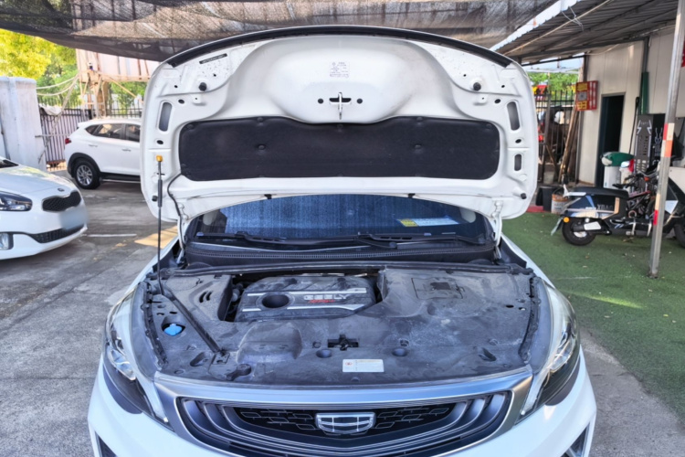 GEELY Emgrand GS 2019 #20 GEELY Emgrand GS 2019 car image #20