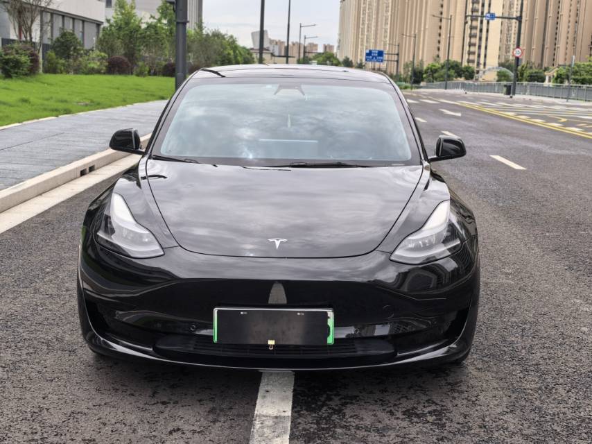 Tesla Model 3 2021 #2 Tesla Model 3 2021 car image #2
