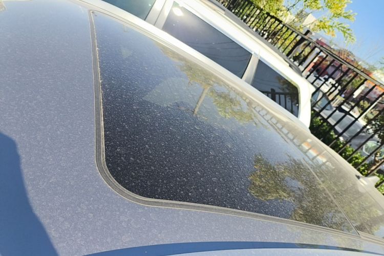 BYD Yuan Plus 2023 #25 BYD Yuan Plus 2023 car image #25