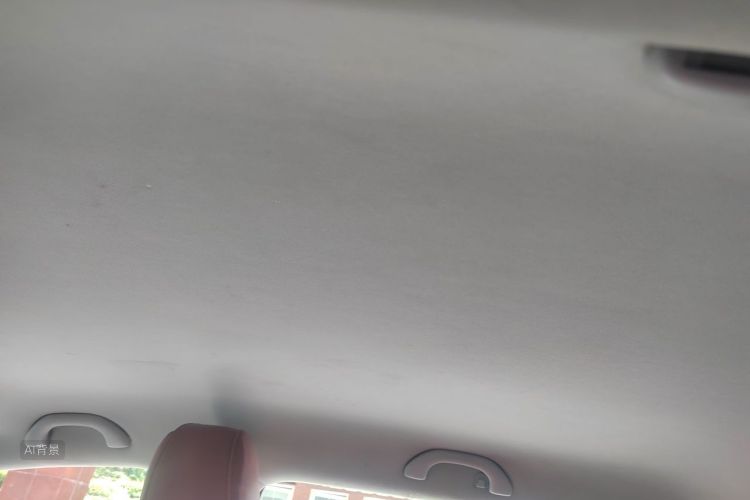 Volkswagen Polo 2015 car image #20