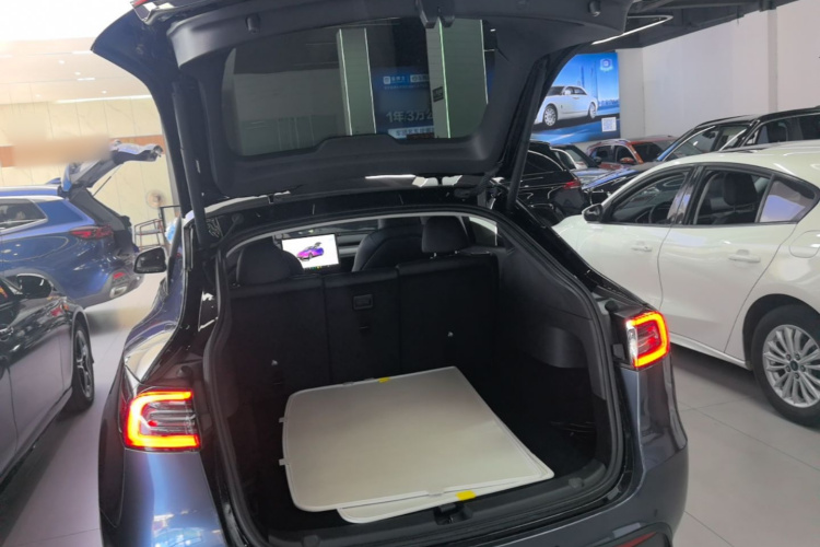 Tesla Model Y 2023 #19 Tesla Model Y 2023 car image #19