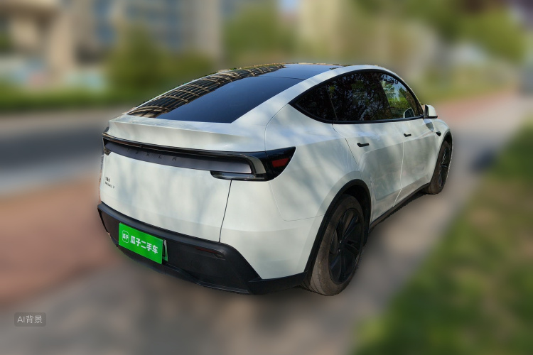 Tesla Model Y 2025 car image #7