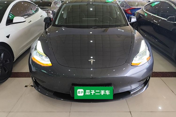 Tesla Model 3 2021 #3 Tesla Model 3 2021 car image #3