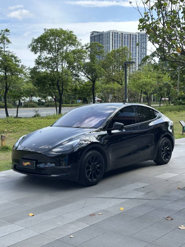 Tesla Model Y 2021 car image 