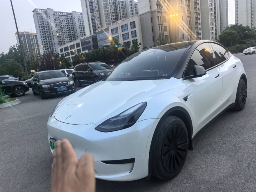 Tesla Model Y 2024 car image 