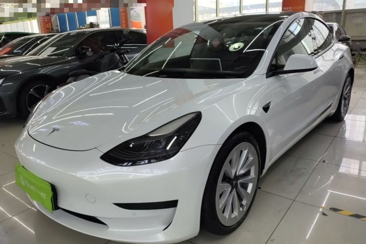 Tesla Model 3 2021 #2 Tesla Model 3 2021 car image #2