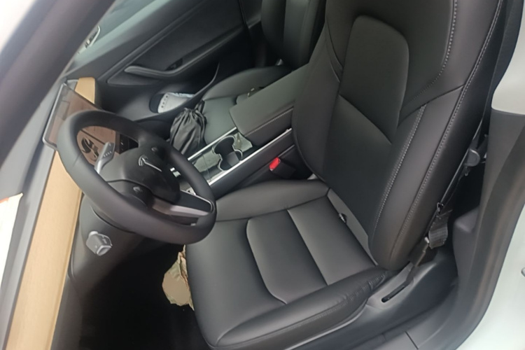 Tesla Model 3 2021 #15 Tesla Model 3 2021 car image #15