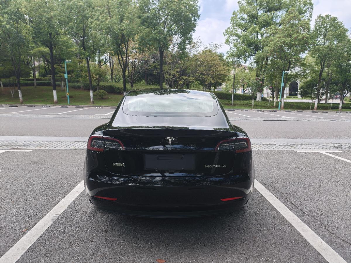 Tesla Model 3 2020 car image #5