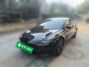 Tesla Model 3 2021 Tesla Model 3 2021 image de voiture