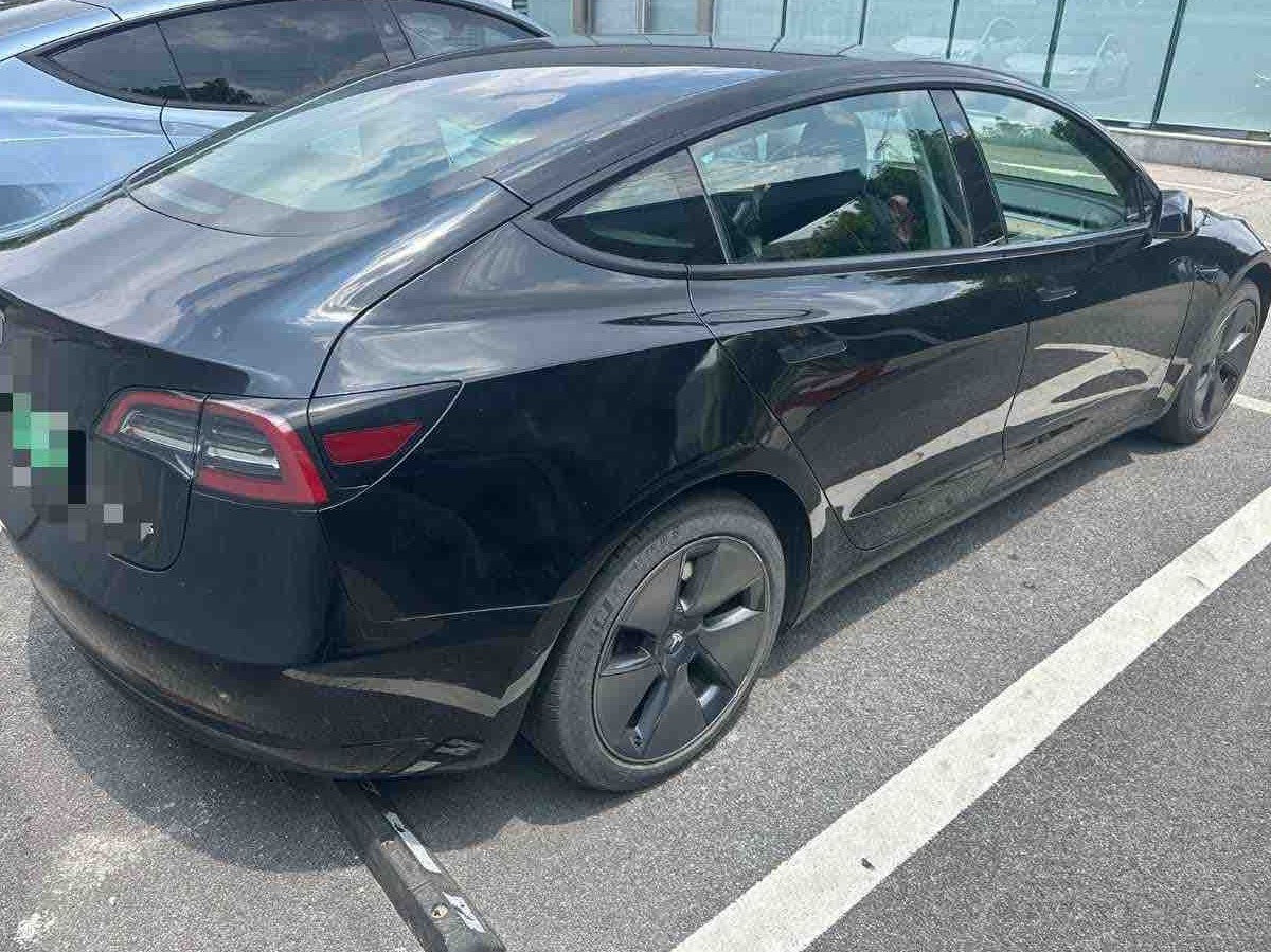 Tesla Model 3 2021 #6 Tesla Model 3 2021 car image #6